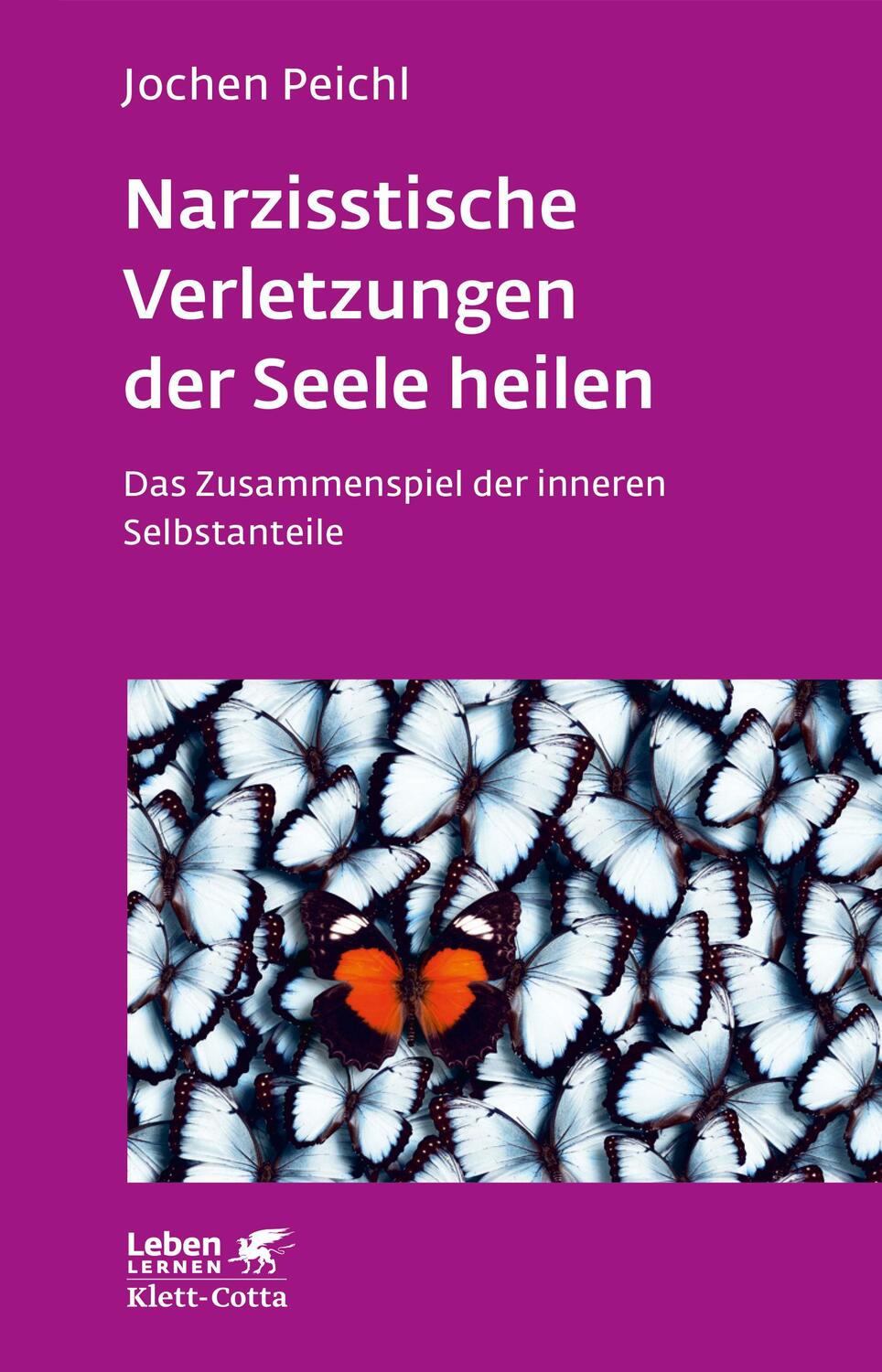 Cover: 9783608892178 | Narzisstische Verletzungen der Seele heilen | Jochen Peichl | Buch