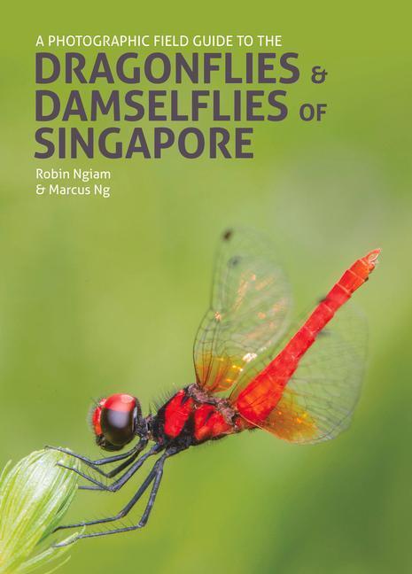 Cover: 9781912081400 | A Photographic Field Guide to the Dragonflies &amp; Damselflies of...