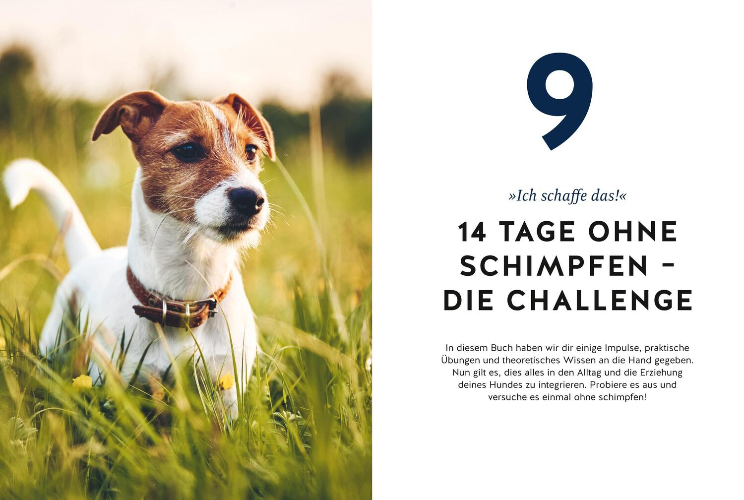 Bild: 9783833884702 | Hunde erziehen ohne Schimpfen | Johanna Spahr | Taschenbuch | 192 S.