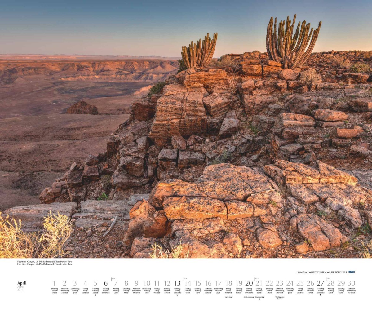 Bild: 4250809653761 | DUMONT - Namibia 2025 Wandkalender, 60x50cm, Fotokunst-Kalender mit...