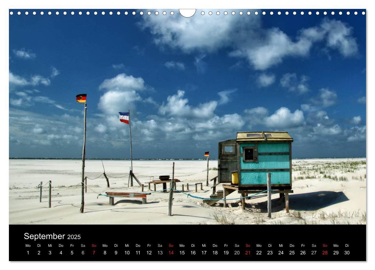 Bild: 9783435588633 | Amrum, Perle der Nordsee (Wandkalender 2025 DIN A3 quer), CALVENDO...