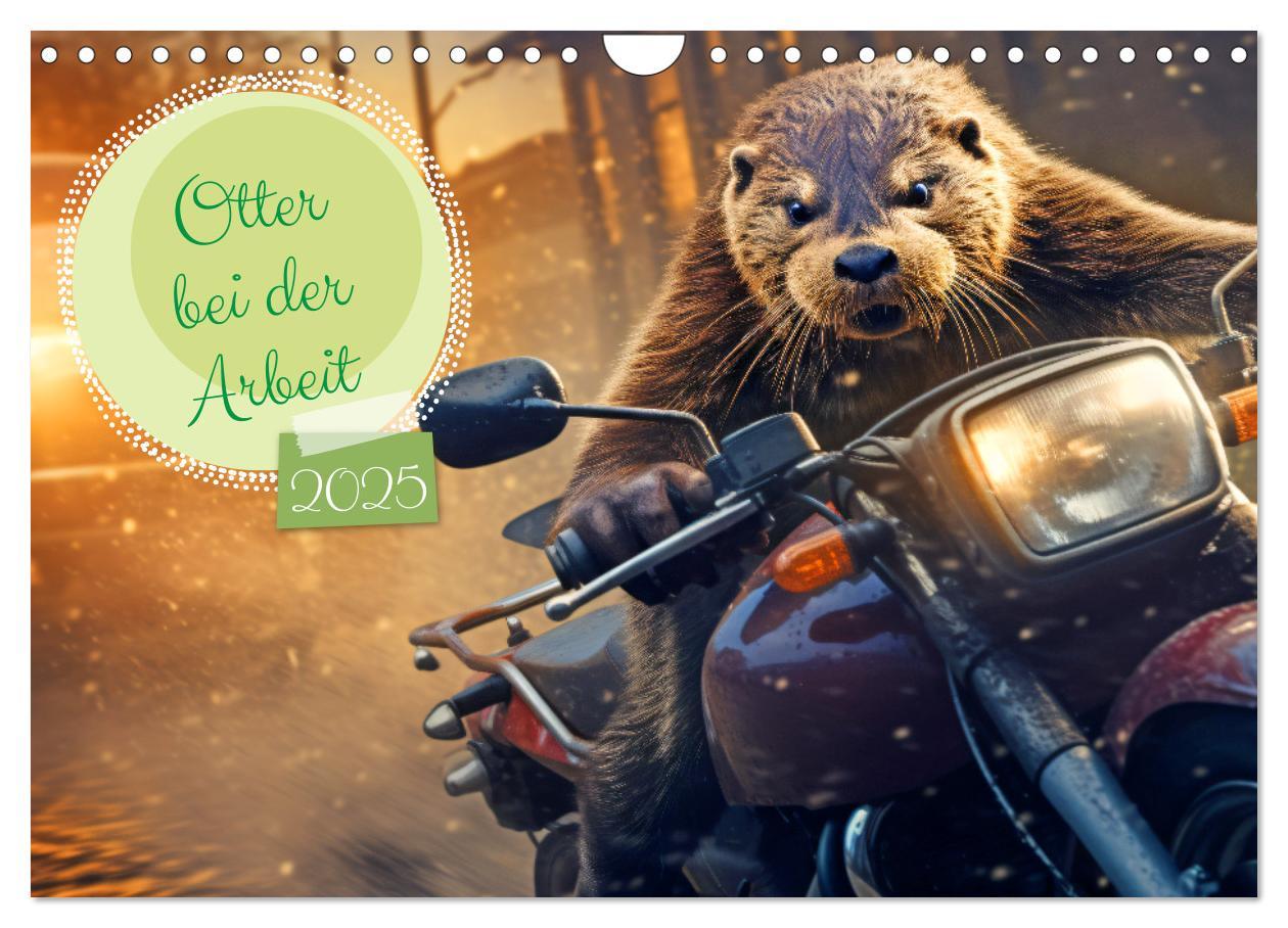 Cover: 9783383858178 | Otter bei der Arbeit (Wandkalender 2025 DIN A4 quer), CALVENDO...