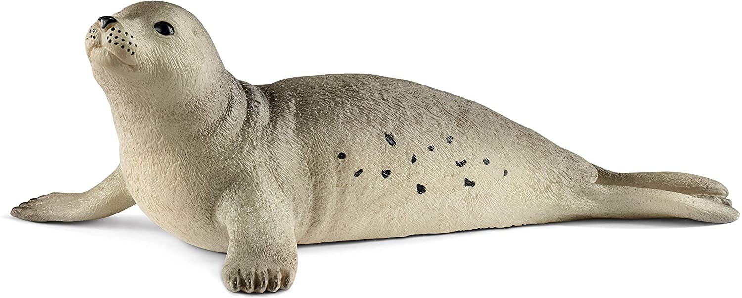 Cover: 4055744018084 | Schleich 14801 - Wild Life, Seehund, Tierfigur | Schleich® | Schleich