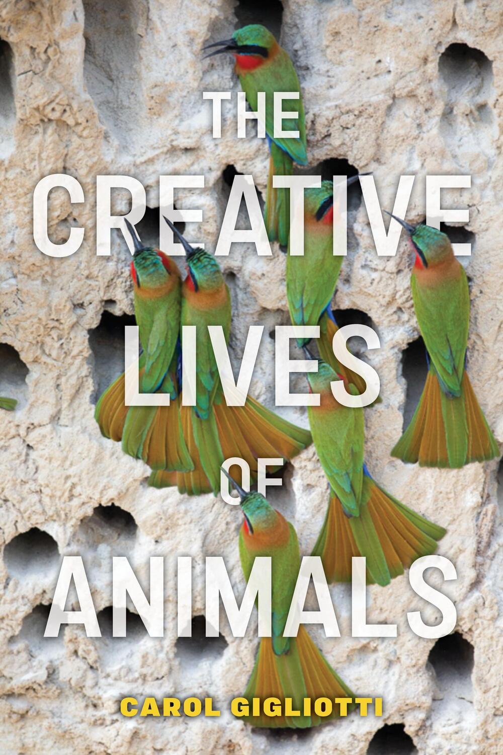 Cover: 9781479815449 | The Creative Lives of Animals | Carol Gigliotti | Buch | Gebunden