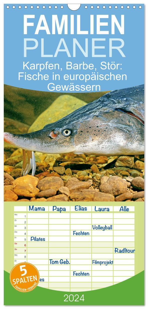 Cover: 9783383698514 | Familienplaner 2024 - Karpfen, Barbe, Stör: Fische in europäischen...