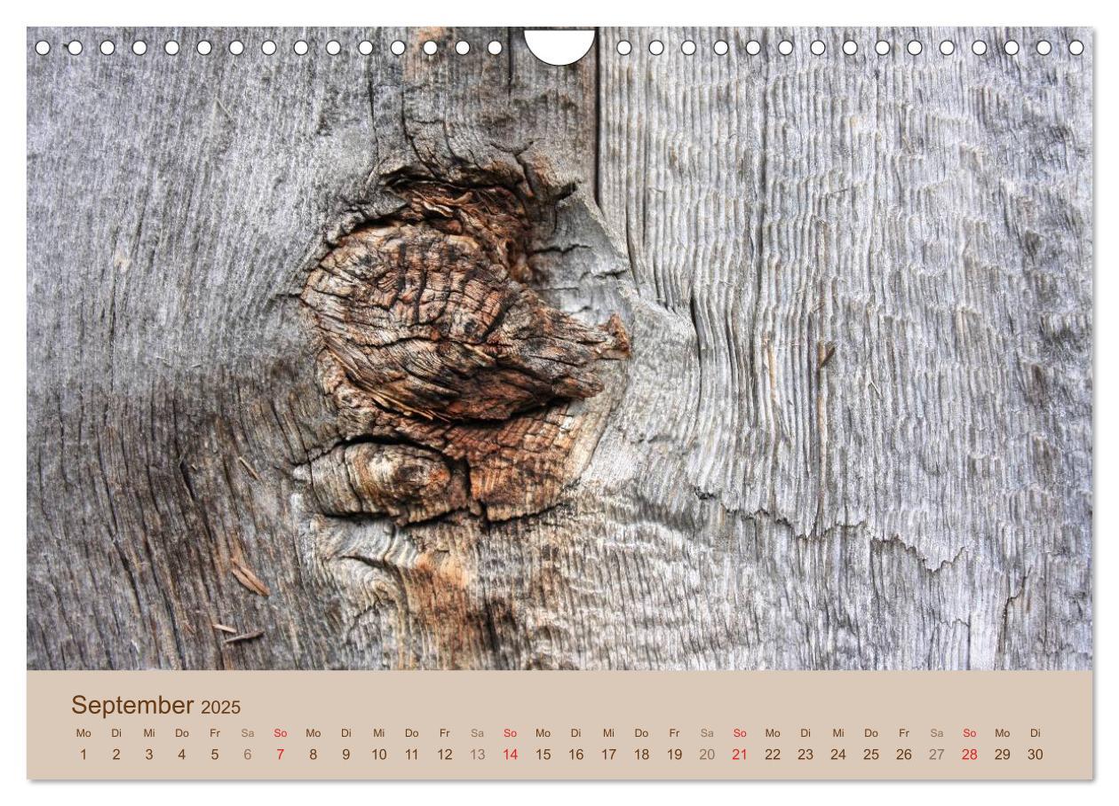 Bild: 9783435476268 | Farben des Holzes (Wandkalender 2025 DIN A4 quer), CALVENDO...