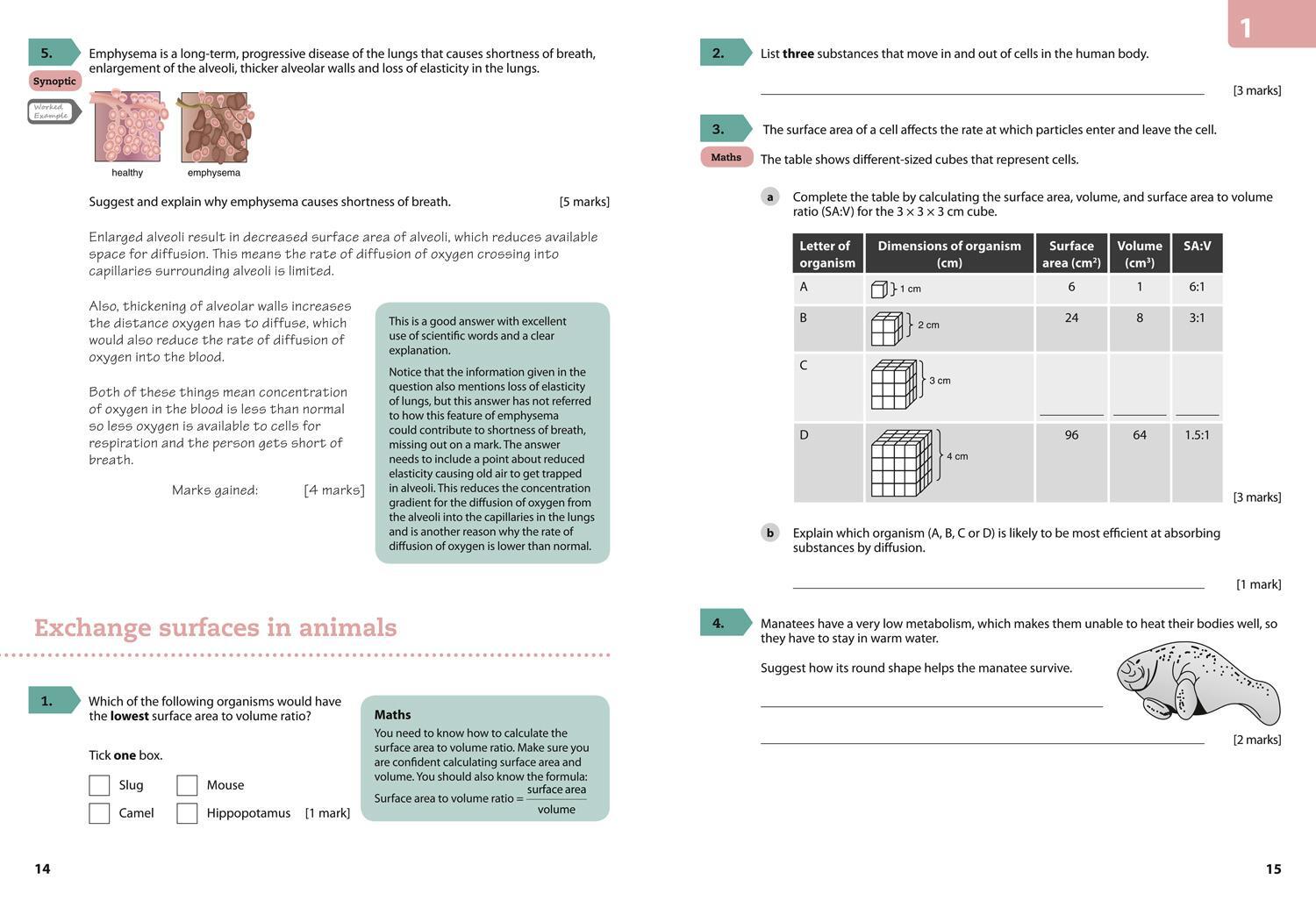 Bild: 9780008194338 | Aqa GCSE Biology 9-1 Grade 8/9 Booster Workbook | Collins Uk | Buch