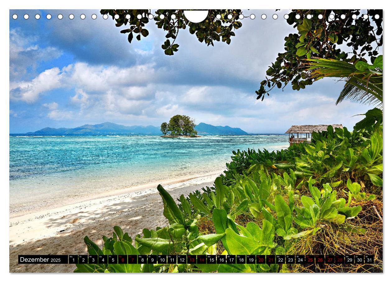 Bild: 9783435299508 | Seychellen Paradies 2025 (Wandkalender 2025 DIN A4 quer), CALVENDO...