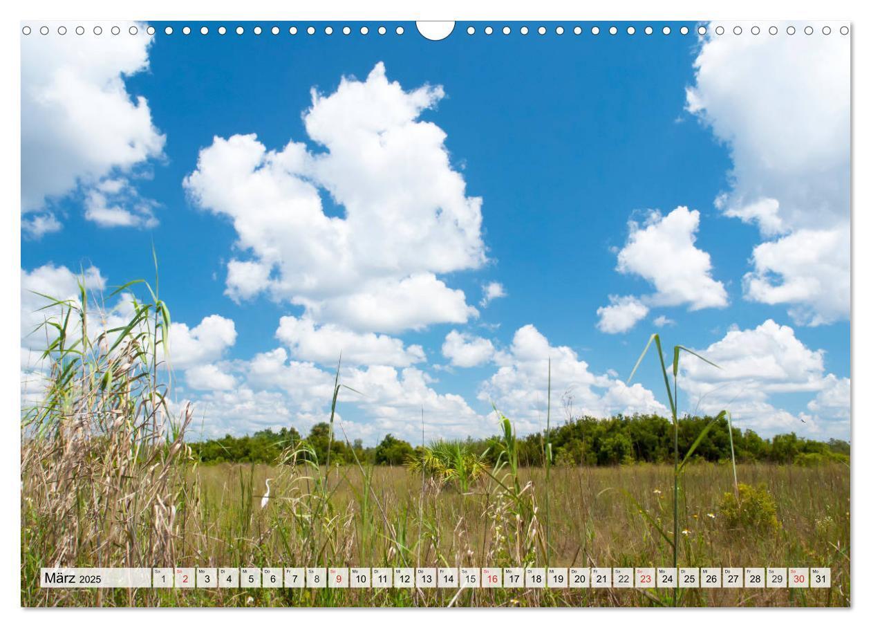 Bild: 9783435805419 | FLORIDA Paradiesischer Sonnenscheinstaat (Wandkalender 2025 DIN A3...