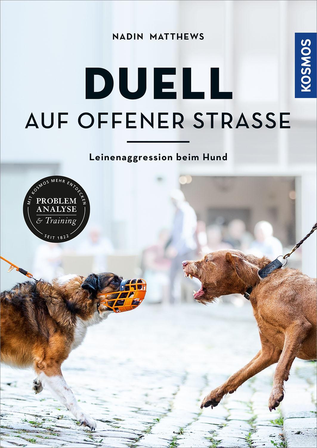 Cover: 9783440169445 | Duell auf offener Straße | Nadin Matthews | Buch | Deutsch | 2021