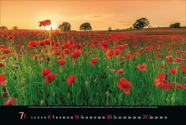 Bild: 9783731875994 | Colourful Seasons 2025 | Verlag Korsch | Kalender | 14 S. | Deutsch