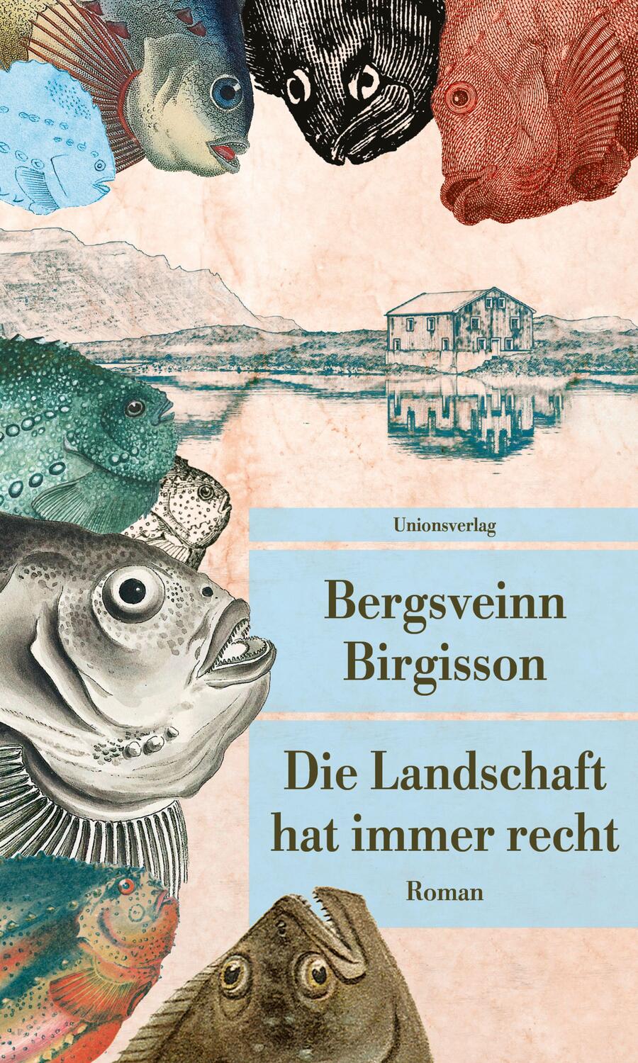 Cover: 9783293209718 | Die Landschaft hat immer recht | Roman | Bergsveinn Birgisson | Buch