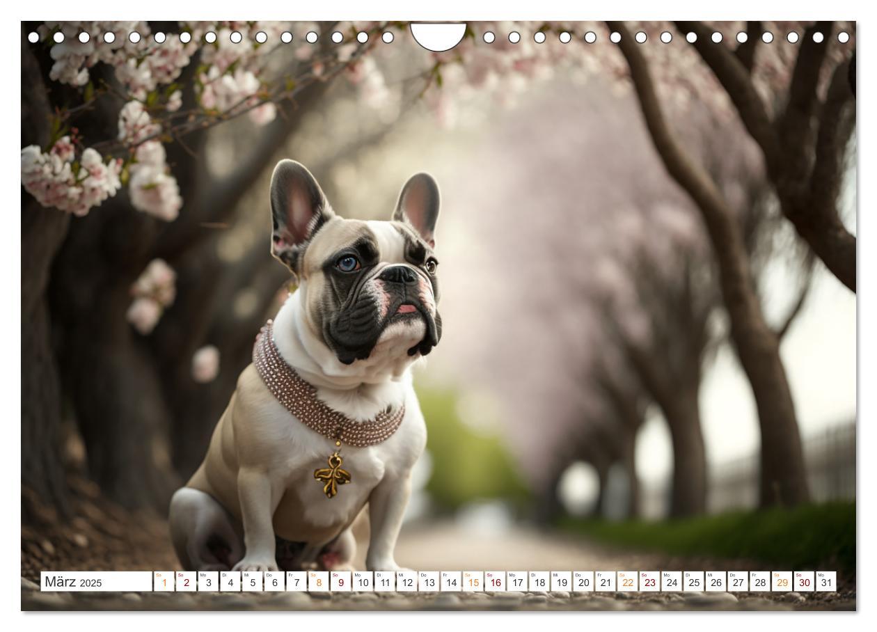 Bild: 9783383869181 | Französische Bulldoggen (Wandkalender 2025 DIN A4 quer), CALVENDO...