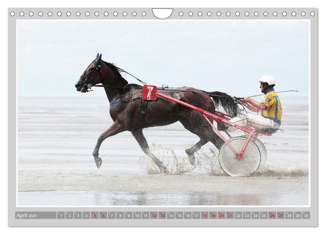 Bild: 9783435058884 | Pferde-Rennen auf Schnee und im Wasser (Wandkalender 2025 DIN A4...