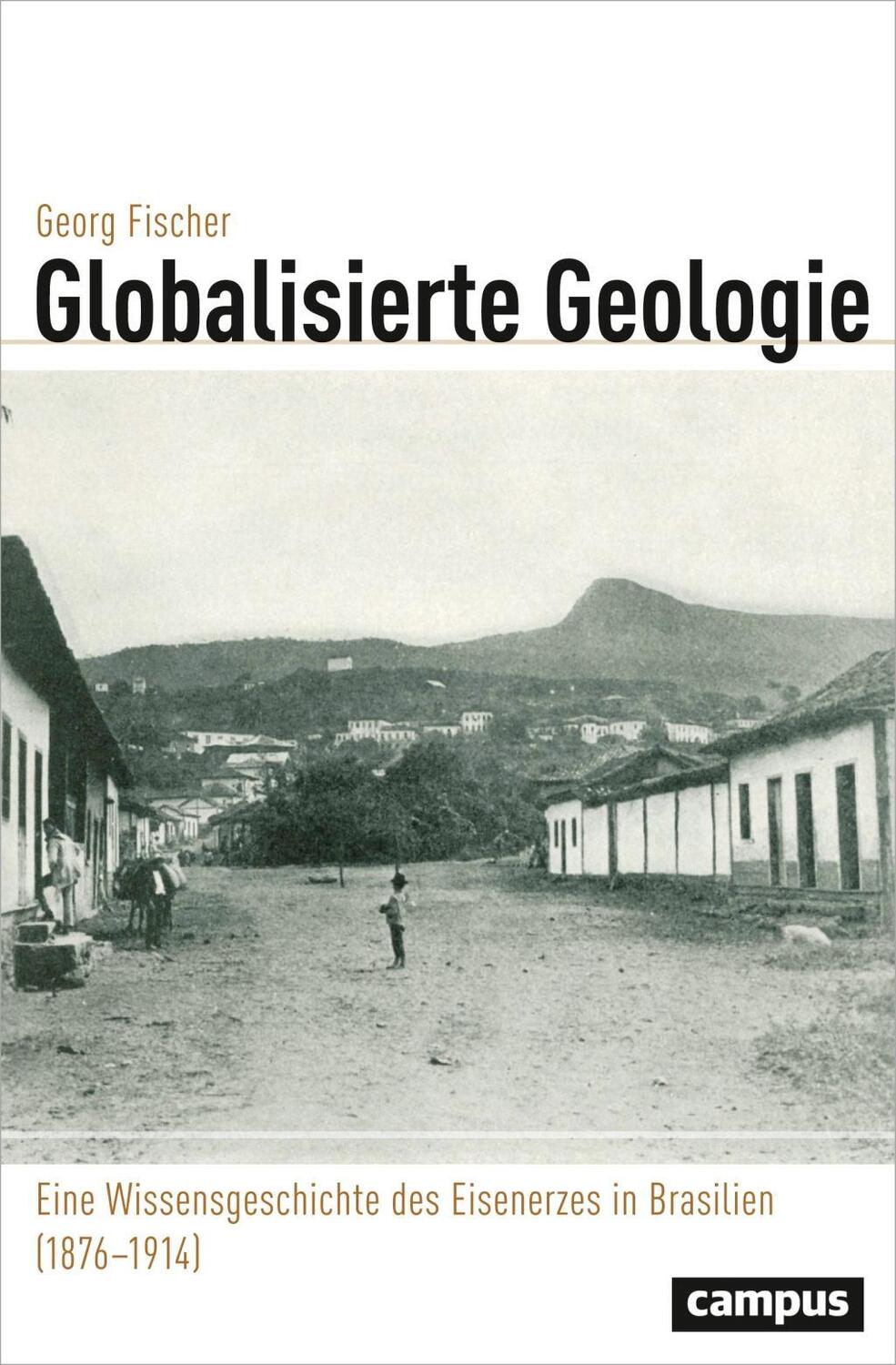 Cover: 9783593508153 | Globalisierte Geologie | Georg Fischer | Taschenbuch | 328 S. | 2017