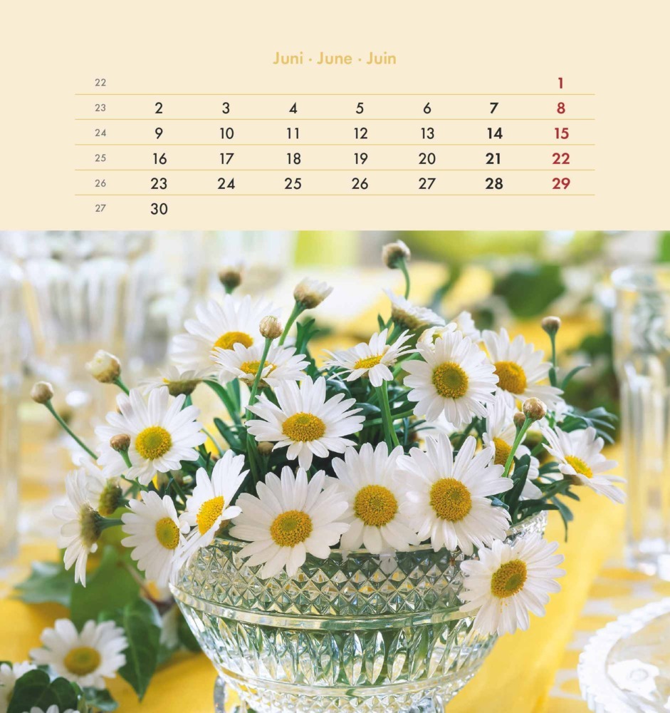 Bild: 4251732342289 | Alpha Edition - Blumengrüße 2025 Postkartenkalender, 16x17cm,...