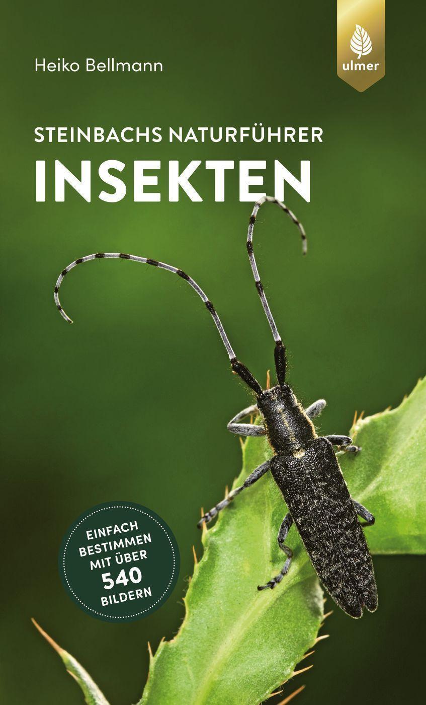 Cover: 9783818614195 | Steinbachs Naturführer Insekten | Heiko Bellmann | Taschenbuch | 2022