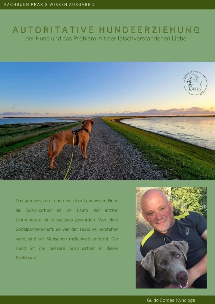 Cover: 9783347812307 | Autoritative Hundeerziehung, Hundeerziehung, Hund. Probleme | Cordes