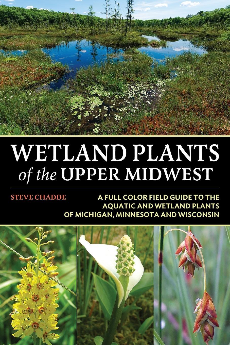 Cover: 9781951682682 | Wetland Plants of the Upper Midwest | Steve W. Chadde | Taschenbuch