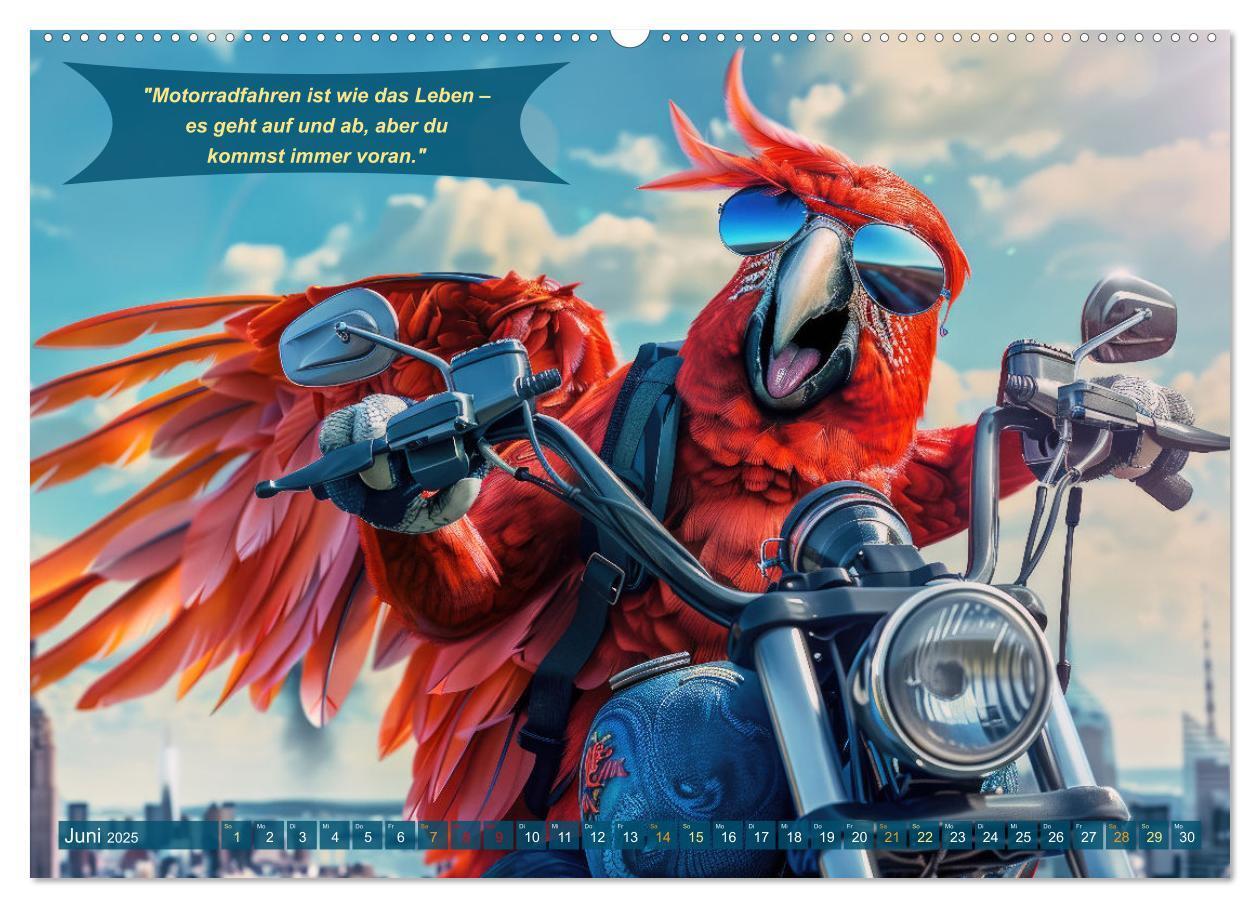 Bild: 9783457166079 | Tierisch lustige Motorradfahrer (Wandkalender 2025 DIN A2 quer),...