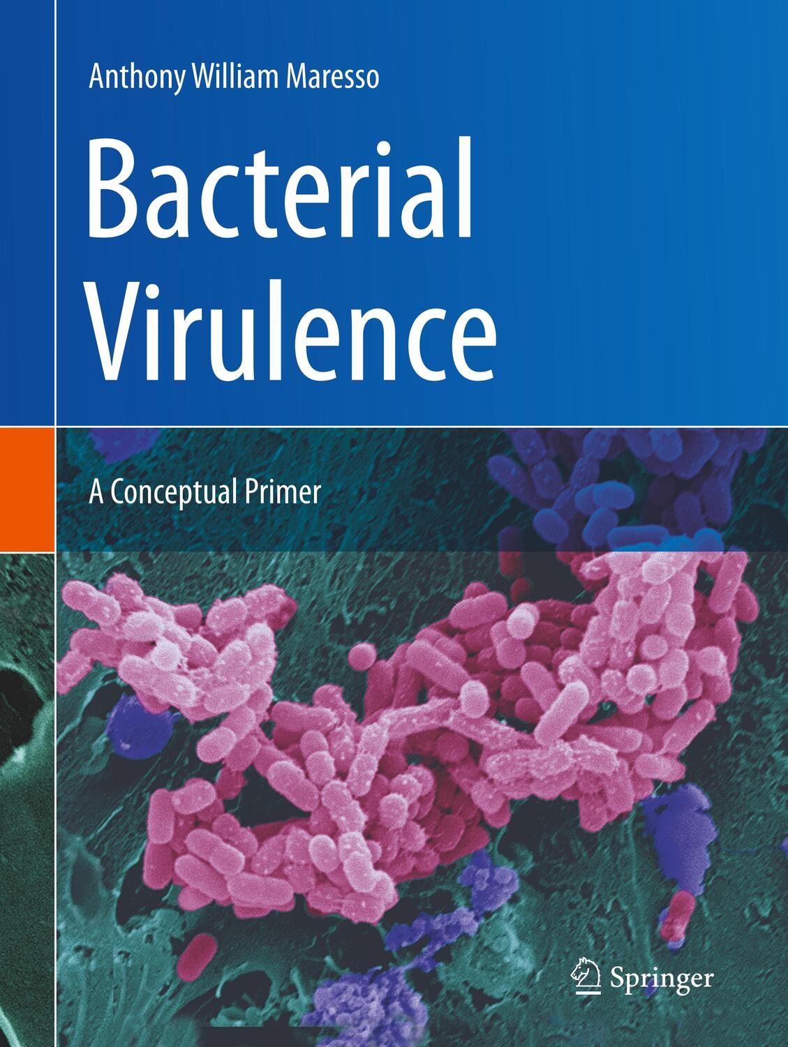 Cover: 9783030204631 | Bacterial Virulence | A Conceptual Primer | Anthony William Maresso
