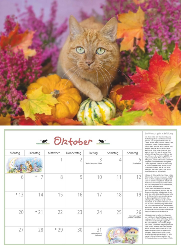 Bild: 4250809652412 | DUMONT - DUMONTS Katzenkalender 2025 Broschürenkalender, 42x29cm,...