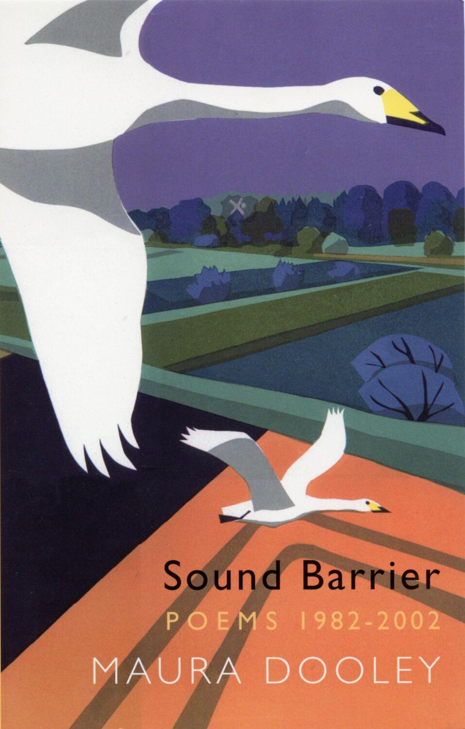 Cover: 9781852245788 | Sound Barrier | Poems 1982-2002 | Maura Dooley | Taschenbuch | 2002