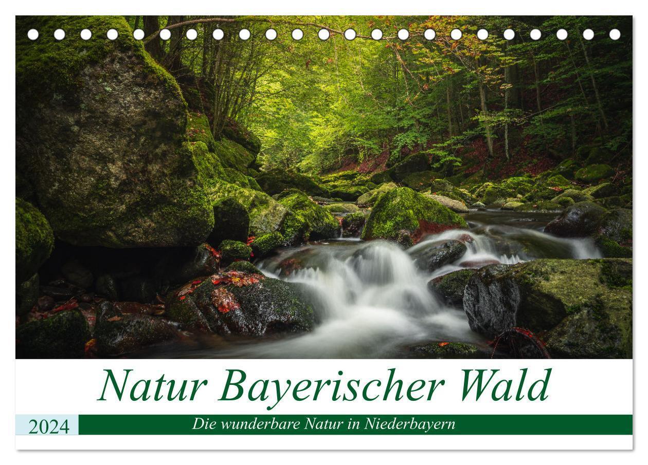 Cover: 9783675725560 | Natur Bayerischer Wald (Tischkalender 2024 DIN A5 quer), CALVENDO...