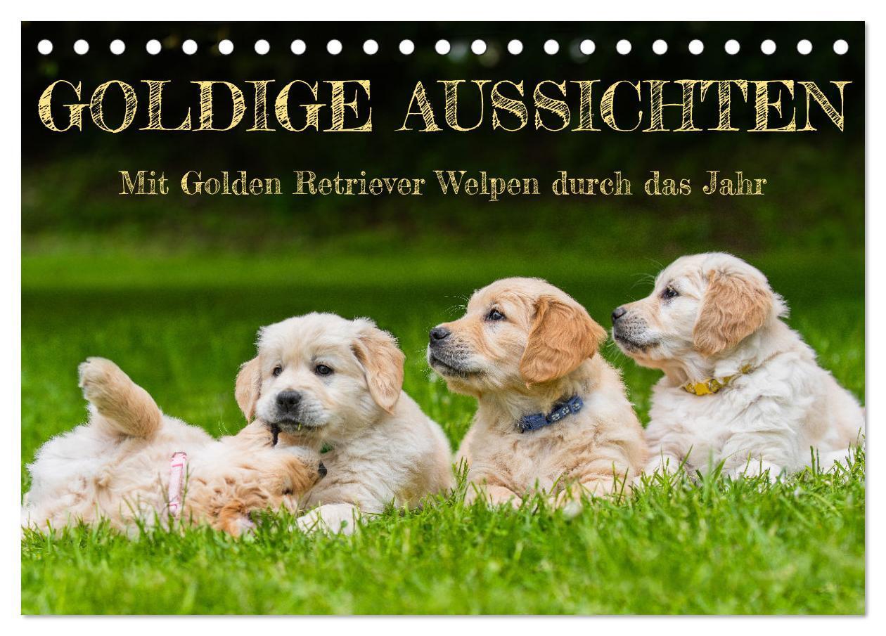 Cover: 9783675915121 | Goldige Aussichten - Mit Golden Retriever Welpen durch das Jahr...