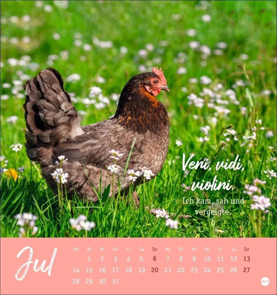 Bild: 9783756408573 | Hühner Postkartenkalender 2025 - Ach, du verrücktes Huhn! | Kalender