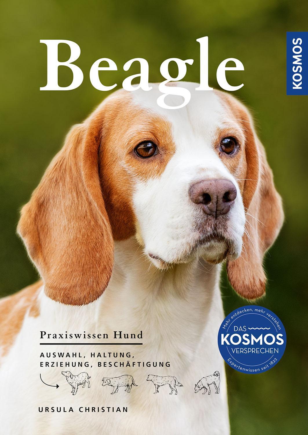 Cover: 9783440176986 | Beagle | Auswahl, Haltung, Erziehung, Beschäftigung | Ursula Christian
