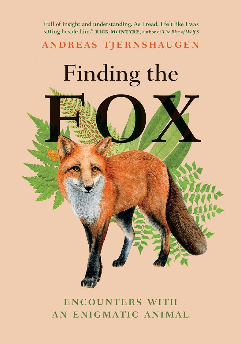 Cover: 9781778400728 | Finding the Fox | Encounters With an Enigmatic Animal | Tjernshaugen