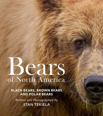 Cover: 9781647554132 | Bears of North America | Black Bears, Brown Bears, and Polar Bears