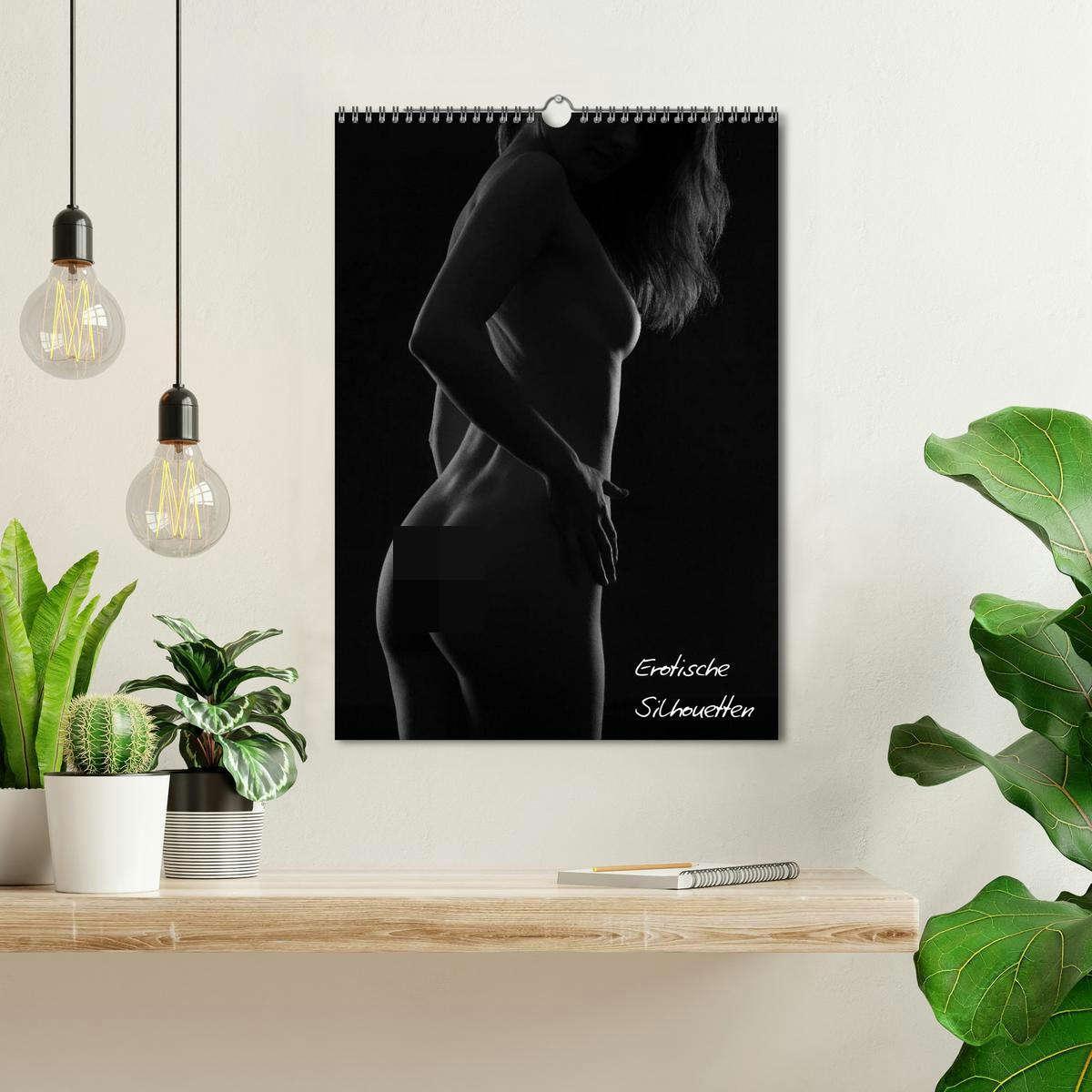 Bild: 9783457080955 | Erotische Silhouetten / CH-Version (Wandkalender 2025 DIN A3 hoch),...