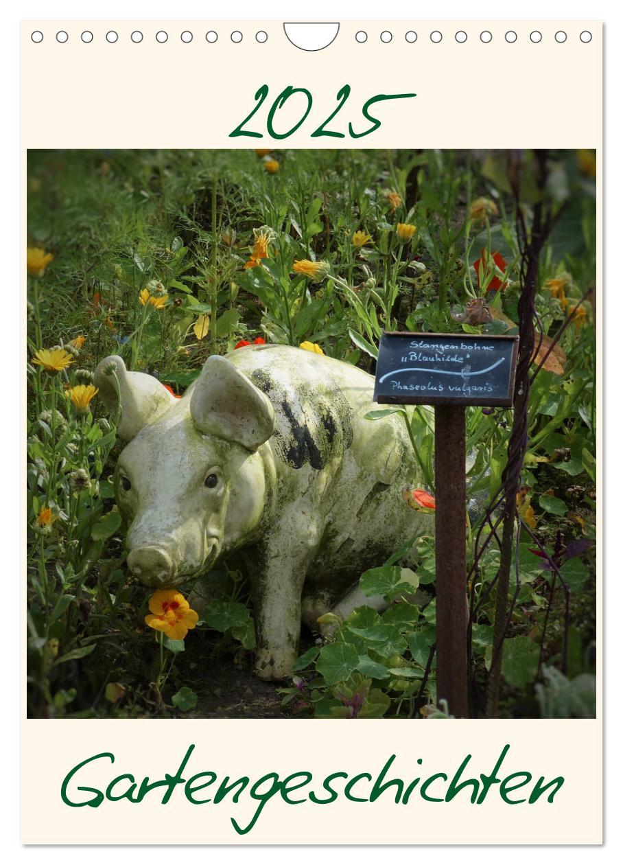 Cover: 9783435999583 | Gartengeschichten (Wandkalender 2025 DIN A4 hoch), CALVENDO...