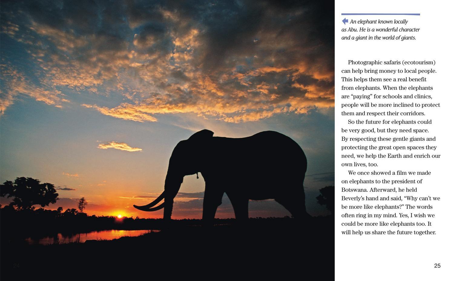 Bild: 9780008358181 | Face to Face with Elephants | Level 6 | Beverly Joubert (u. a.) | Buch