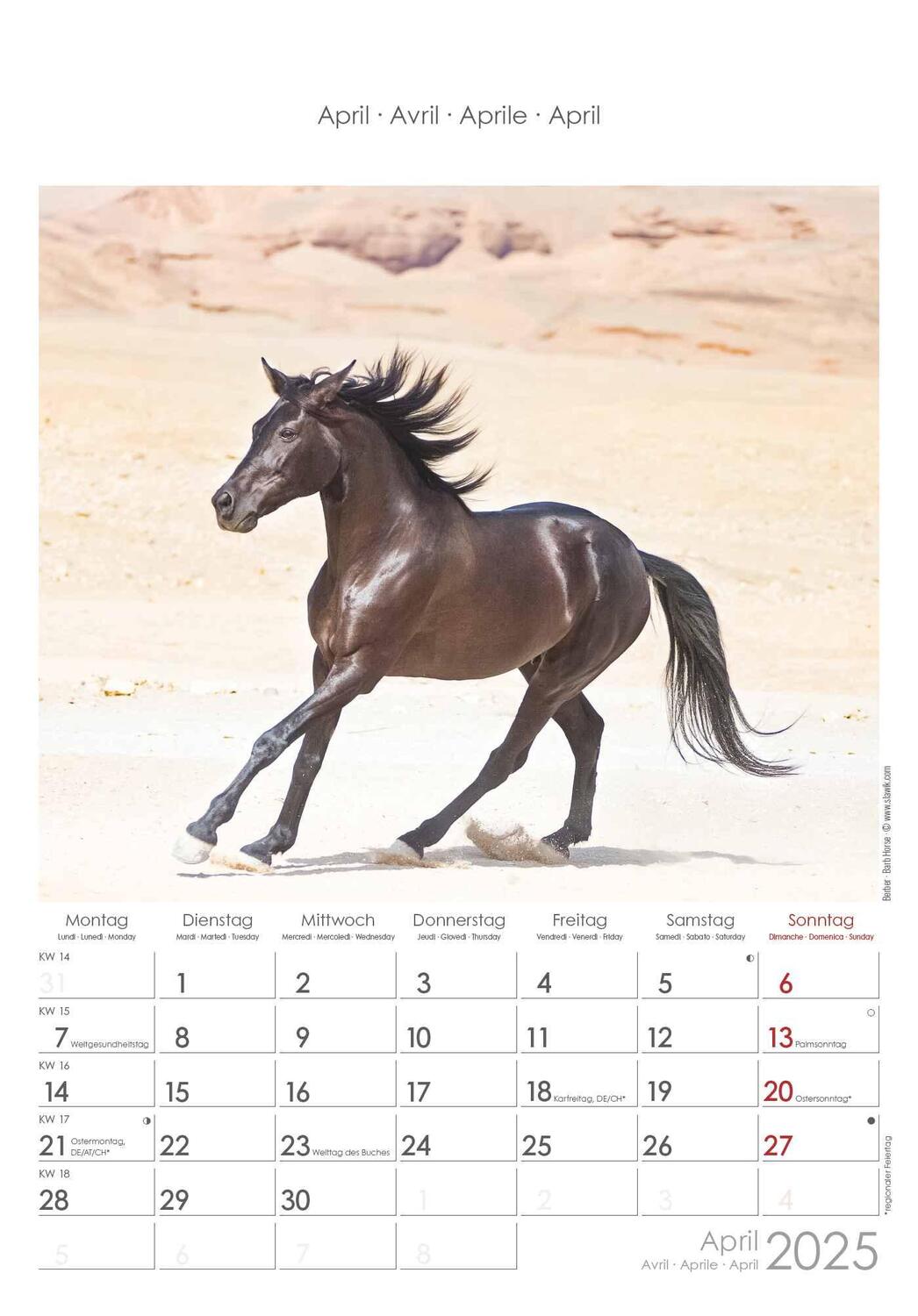 Bild: 4251732341022 | Pferde 2025 - Bildkalender 23,7x34 cm - Kalender mit Platz für...
