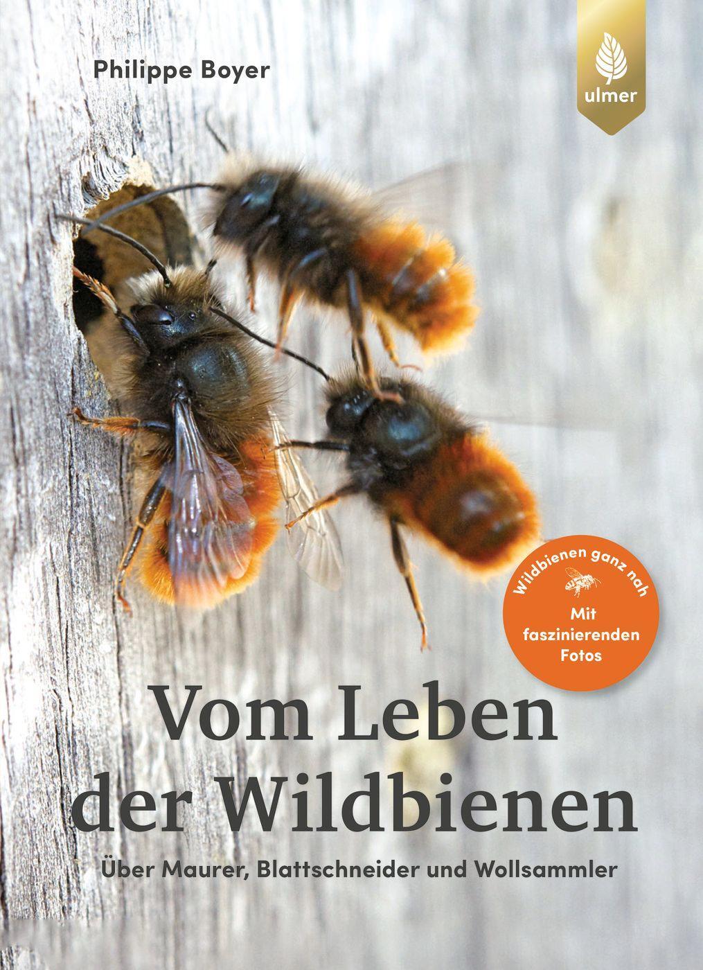 Cover: 9783818613426 | Vom Leben der Wildbienen | Philippe Boyer | Buch | Deutsch | 2023