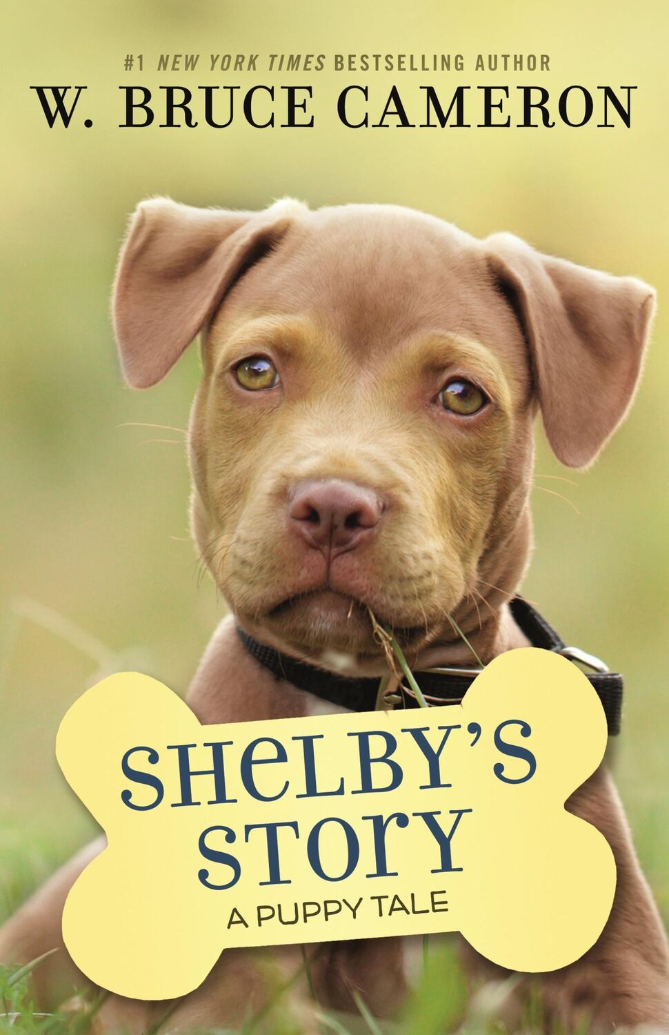 Cover: 9781250301932 | Shelby's Story | A Puppy Tale | W Bruce Cameron | Taschenbuch | 2020