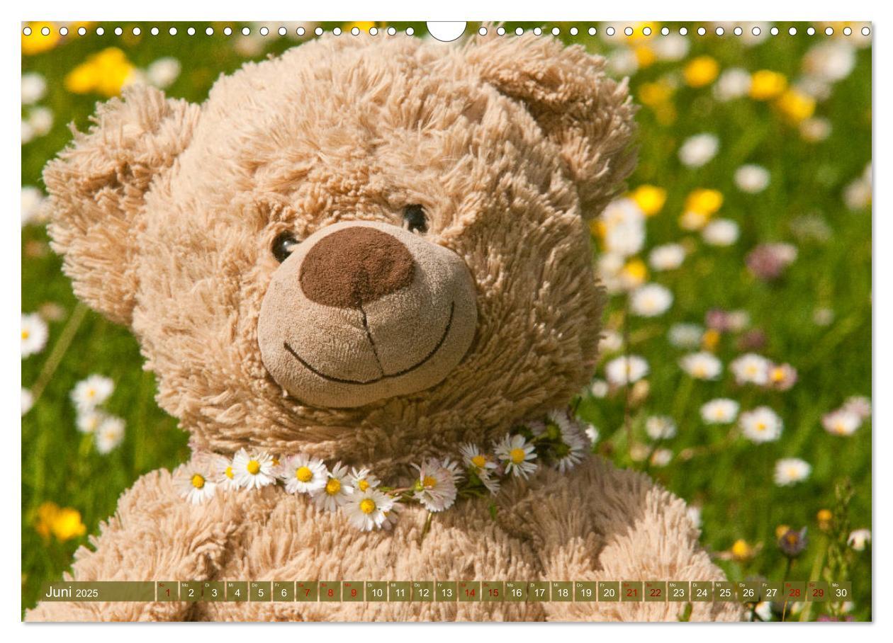 Bild: 9783435411832 | Kunterbunte Bärenwelt - Teddys (Wandkalender 2025 DIN A3 quer),...