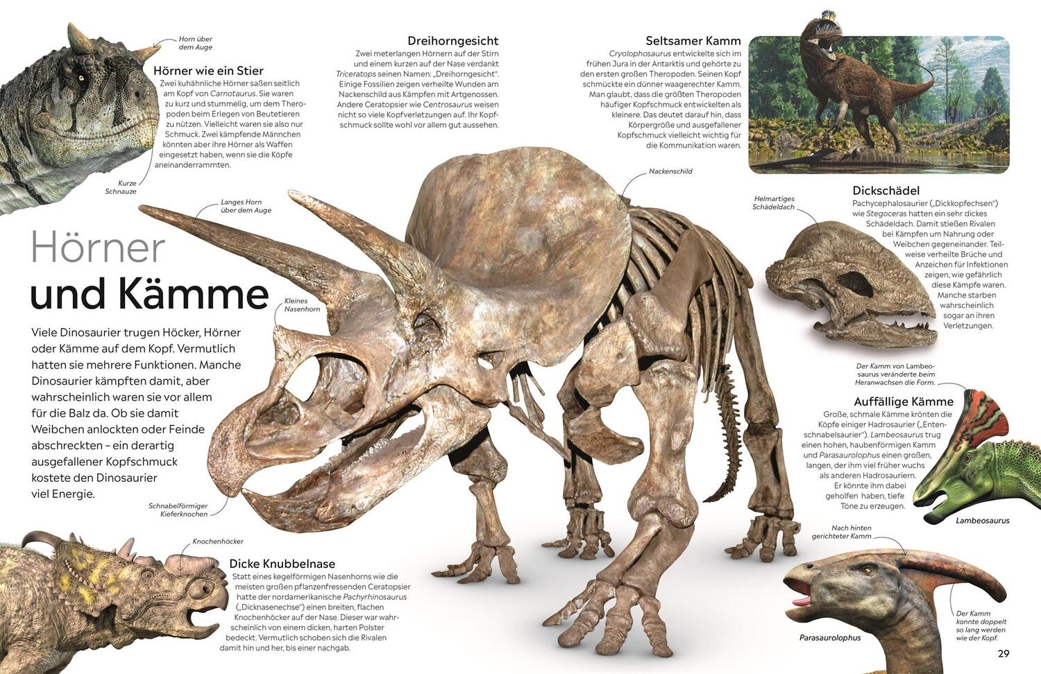 Bild: 9783831049042 | memo Wissen. Dinosaurier | David Lambert | Buch | 72 S. | Deutsch