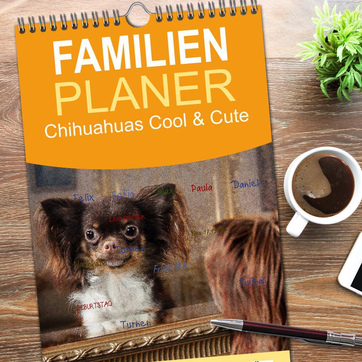 Bild: 9783457111291 | Familienplaner 2025 - Chihuahuas - Cool and Cute mit 5 Spalten...