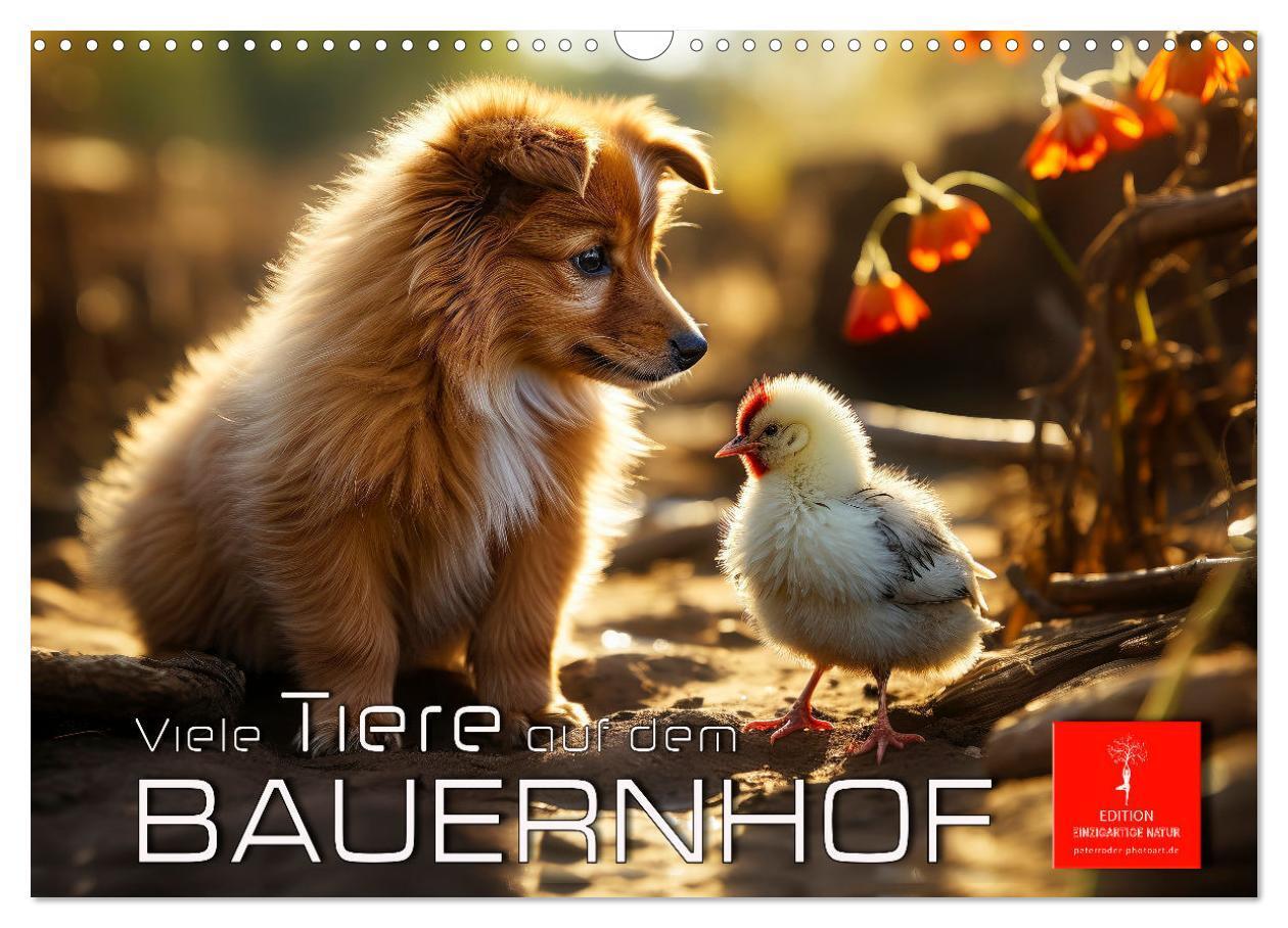 Cover: 9783383836688 | Viele Tiere auf dem Bauernhof (Wandkalender 2025 DIN A3 quer),...