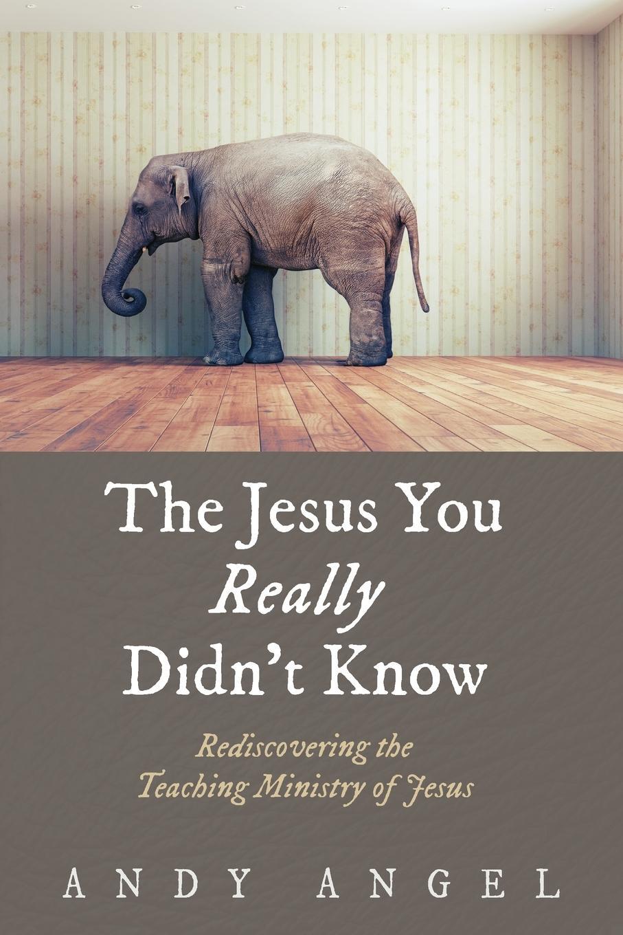 Cover: 9781532644924 | The Jesus You Really Didn't Know | Andy Angel | Taschenbuch | Englisch