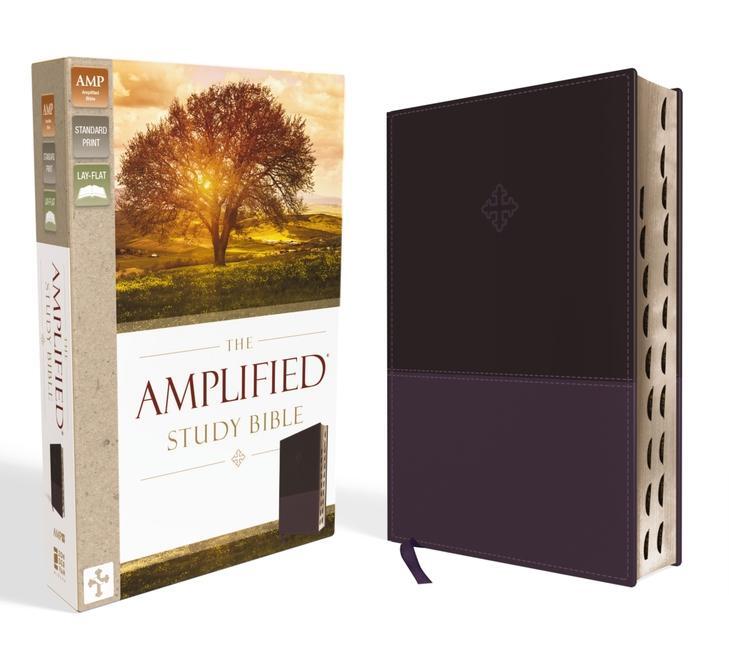 Cover: 9780310446538 | The Amplified Study Bible, Leathersoft, Purple, Thumb Indexed | Buch