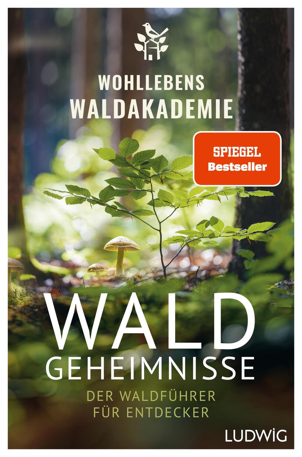 Cover: 9783453281615 | Waldgeheimnisse | Wohllebens Waldakademie | Taschenbuch | 320 S.