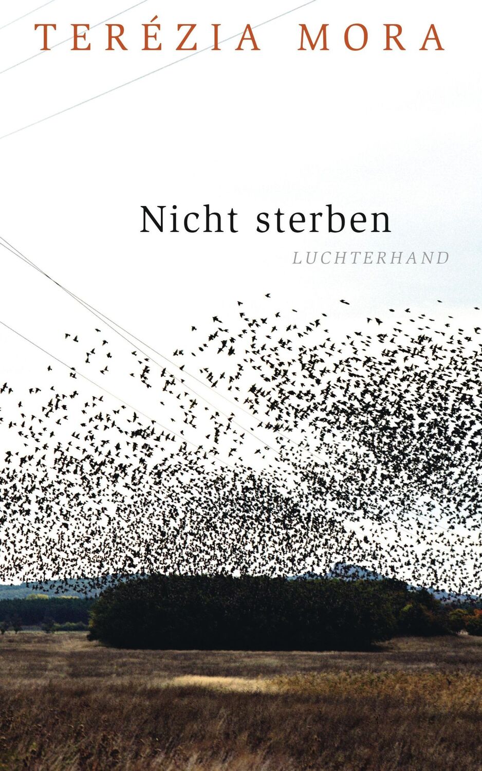 Cover: 9783630874517 | Nicht sterben | Terézia Mora | Buch | 160 S. | Deutsch | 2015