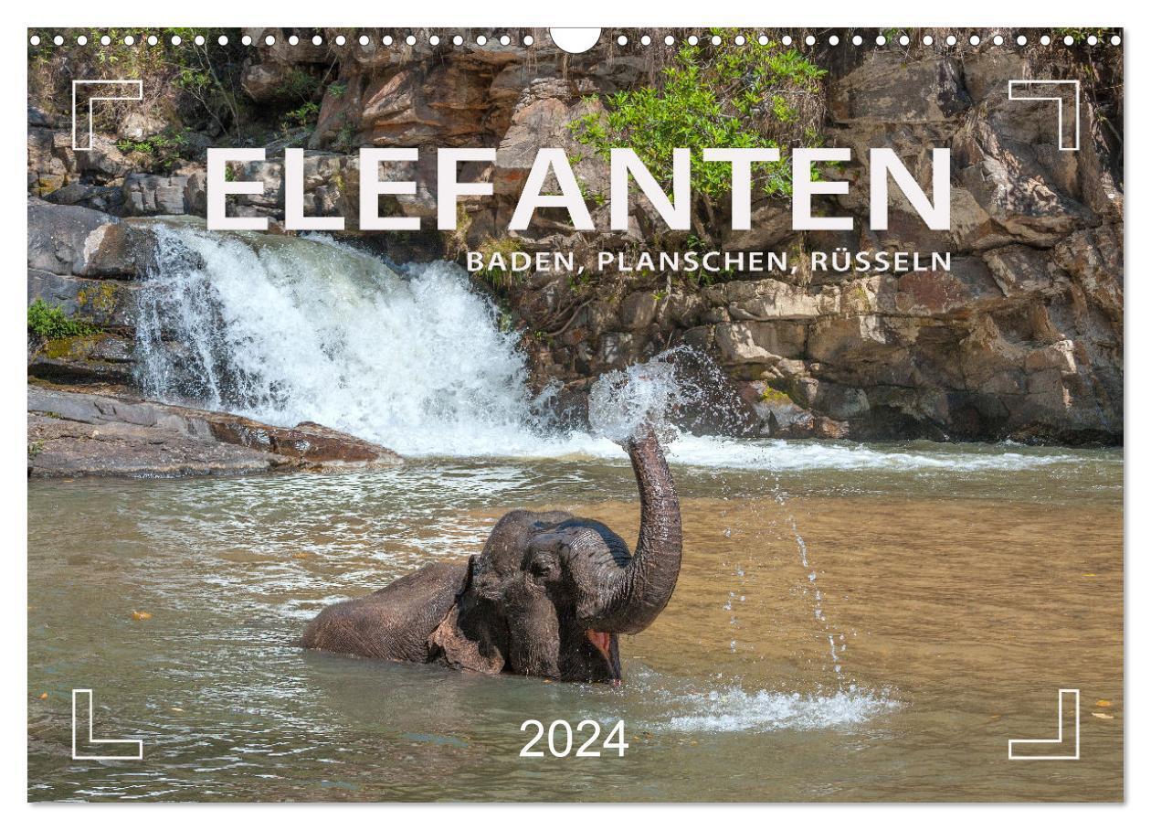 Cover: 9783675442115 | Elefanten - Baden, Planschen, Rüsseln (Wandkalender 2024 DIN A3...
