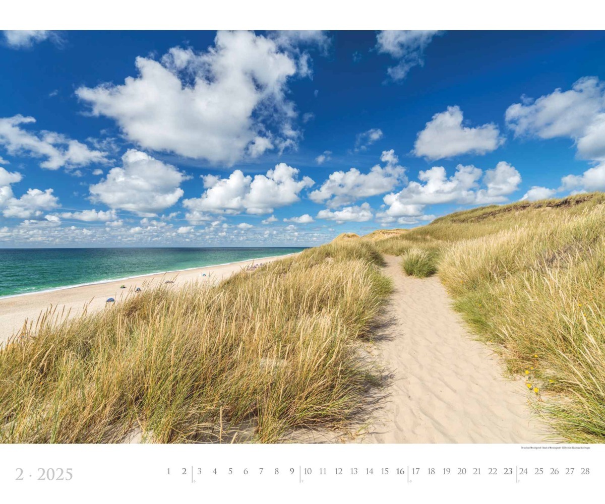 Bild: 4251732342258 | Alpha Edition - Sylt 2025 Bildkalender XXL, 60x50cm, Kalender mit...