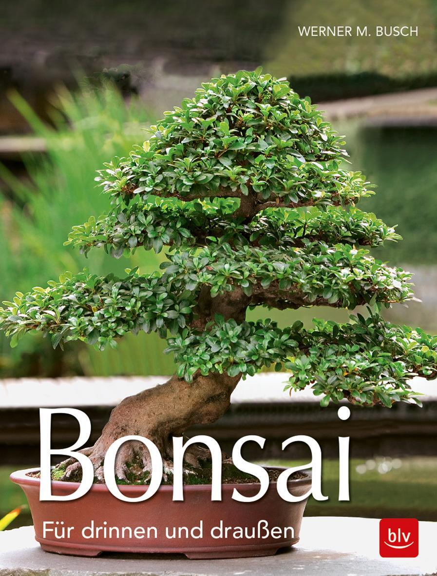 Cover: 9783835417663 | Bonsai | Für draußen und drinnen | Werner M. Busch | Taschenbuch | BLV